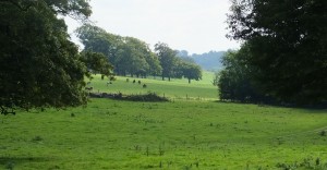 Commercial Green Waste Lincolnshire